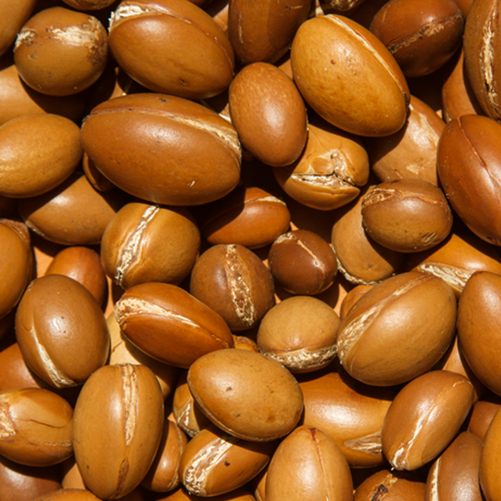 Argan Oil