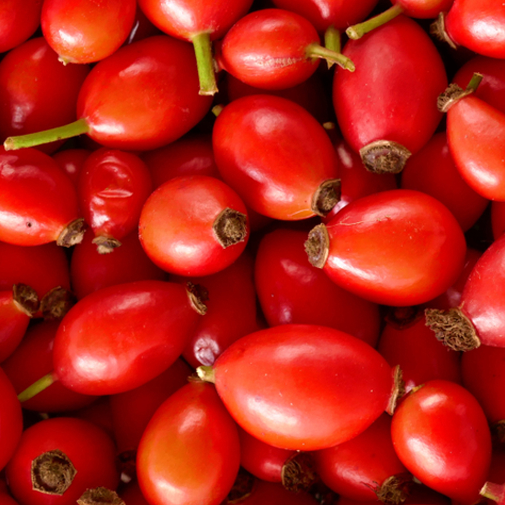 Rosehip